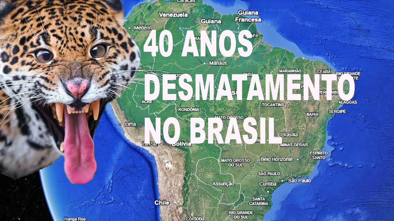 Desmatamento Brasil 2025 Amazon Deforestation