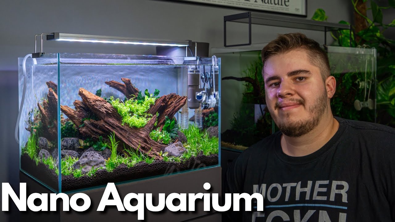 Bepflanzung vom 45P Nano Aquascape Aquarium!