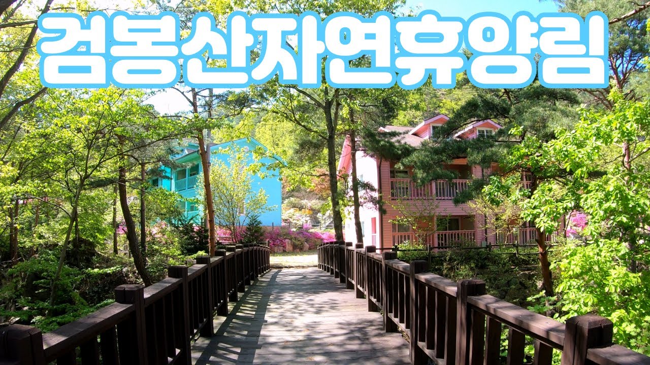 동해 바다가 가까운 검봉산자연휴양림 ver. 202304ㅣ(강원 삼척)자연휴양림 4K ep. 17