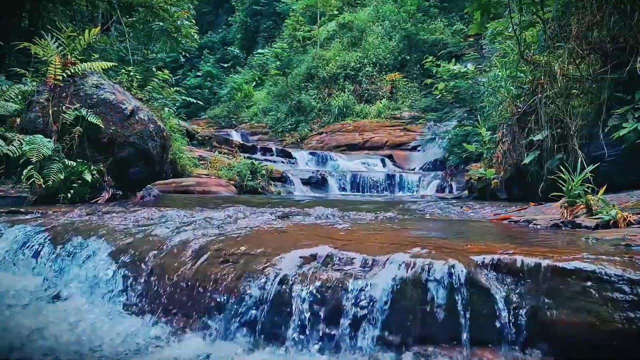 Mountain River Waterfall Flowing | Water Sounds, Nature White Noise, River Sounds for Sleeping