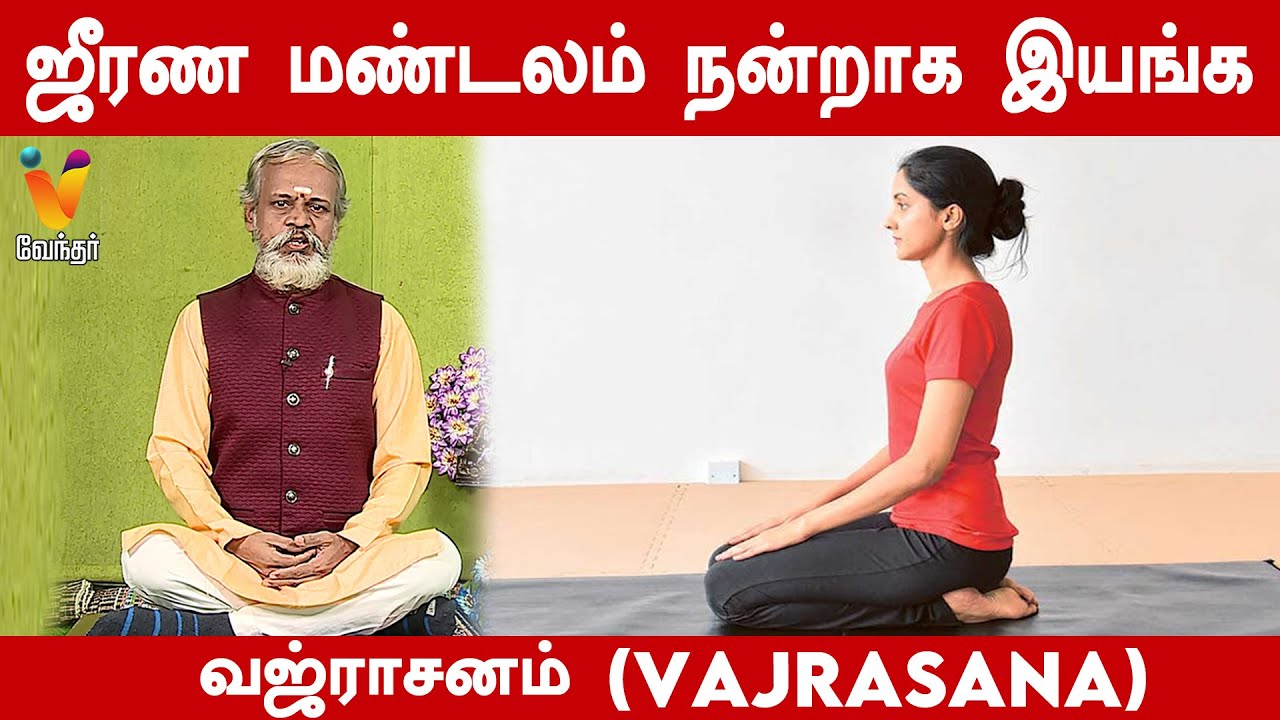 ஜீரண மண்டலம் நன்றாக இயங்க வஜ்ராசனம் | Vajrasana | Krishnan Balaji | Daily Yoga