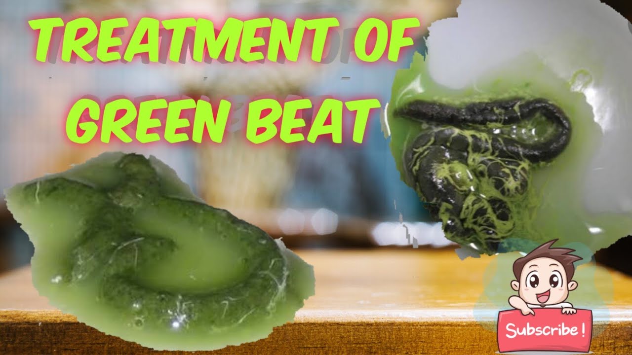 #pigeon #ankitkumbhare #Treatment on Pigeon Green beat & Understand Virus infection