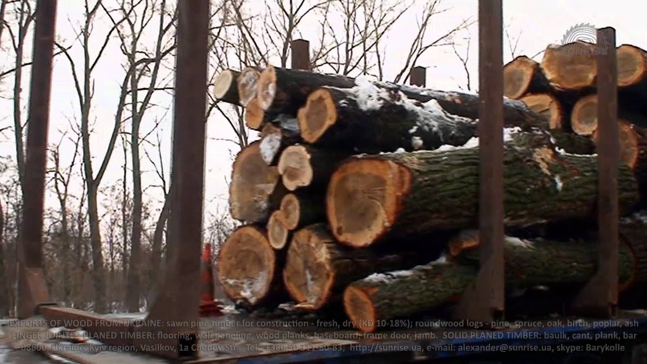 Exports of poplar & aspen roundwood logs from Ukraine. Supply (imports) to the Middle East and Asia