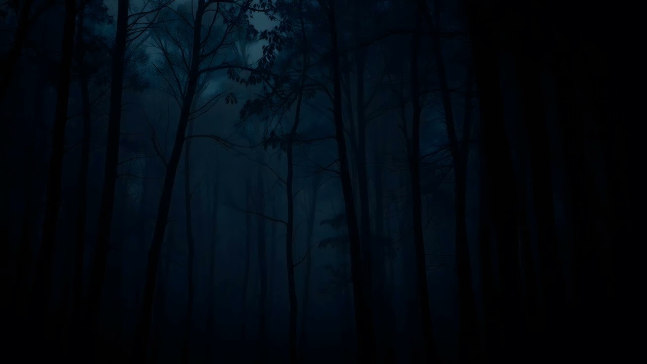 8 Hour Forest Crickets Soundscape for Stress Relief & Sleep |KindRed Nature|