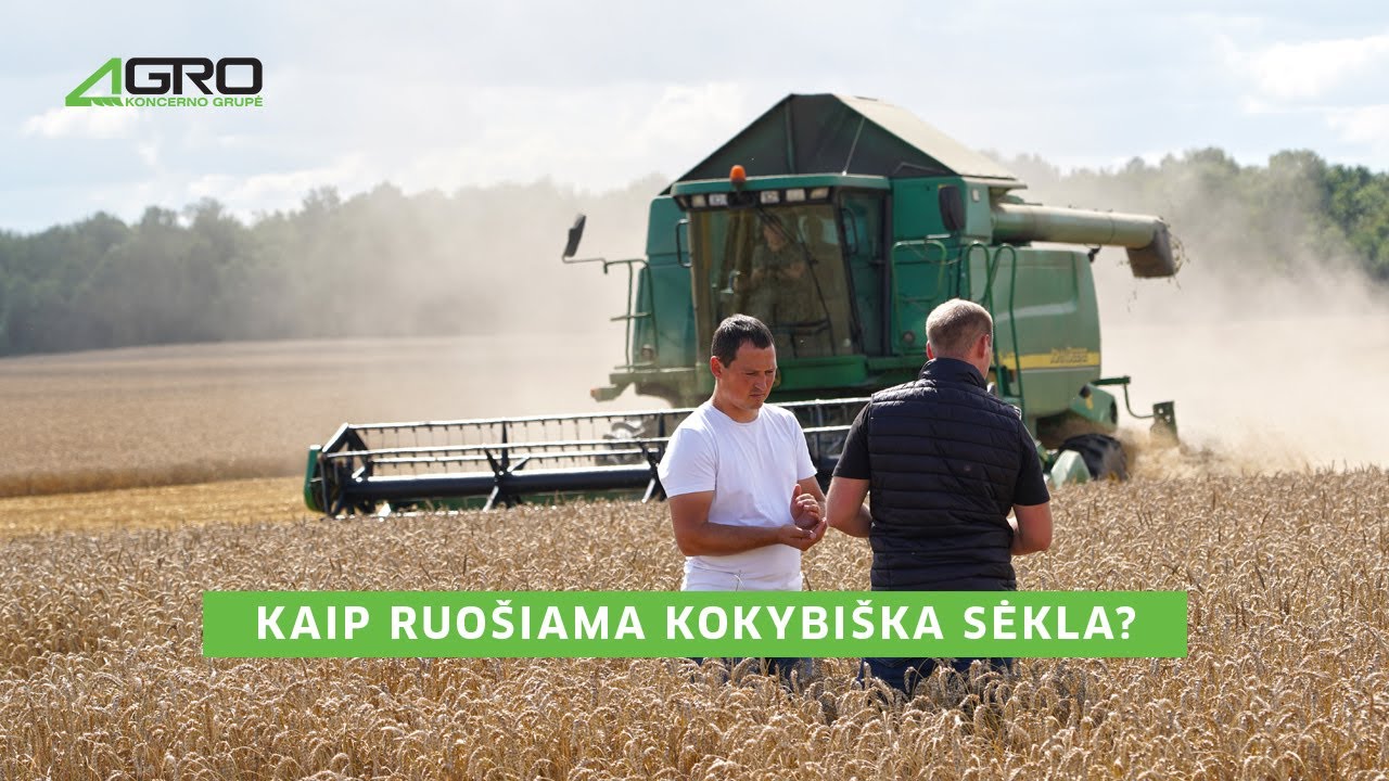 KAIP RUOŠIAMA KOKYBIŠKA SĖKLA? | LAIDOS „KAIMO AKADEMIJA“ VIDEO REPORTAŽAS