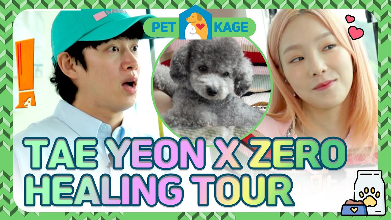 SNSD TAE YEON X ZERO HEALING TOUR💙💚