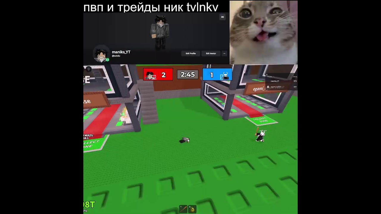 СТРИМ roblox ПВП И ТРЕЙДЫ SAB