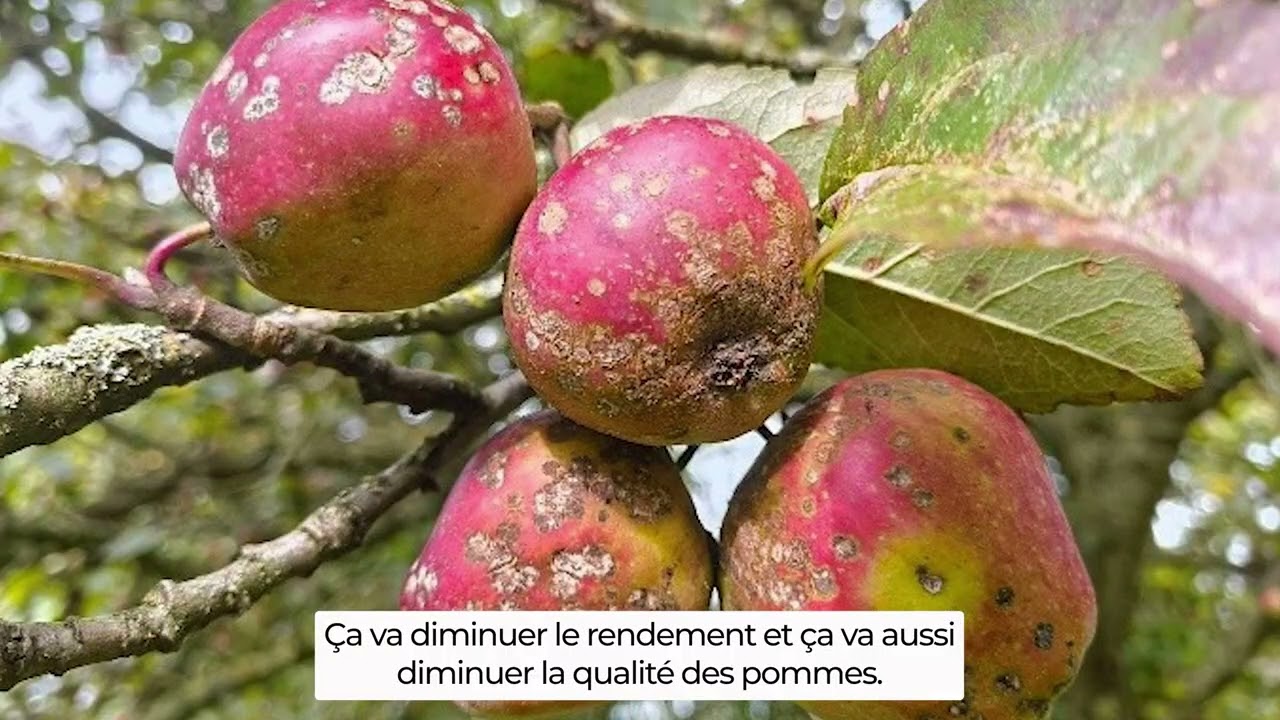 Léopold Van den Berghe, chercheur à Gembloux Agro-Bio Tech
