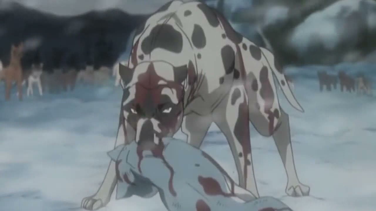 Anime Wolves,Dogs-Dont let me down (Check the description for the animes)