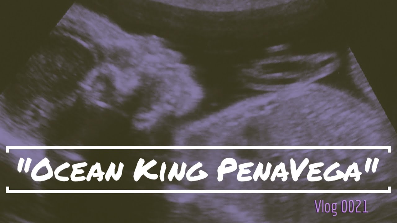 OCEAN KING PENAVEGA