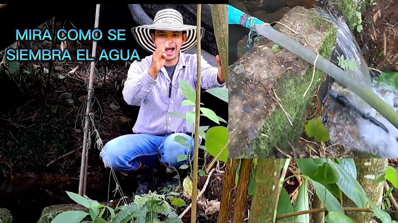 COMO RECUPERAR UN MANANTIAL DE AGUA