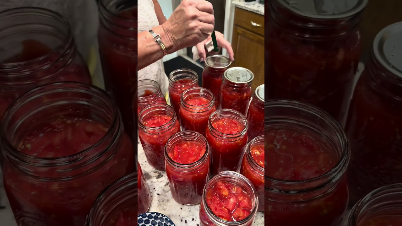 Norpro Magnetic Lid Wand Review A Handy Tool for You Canning