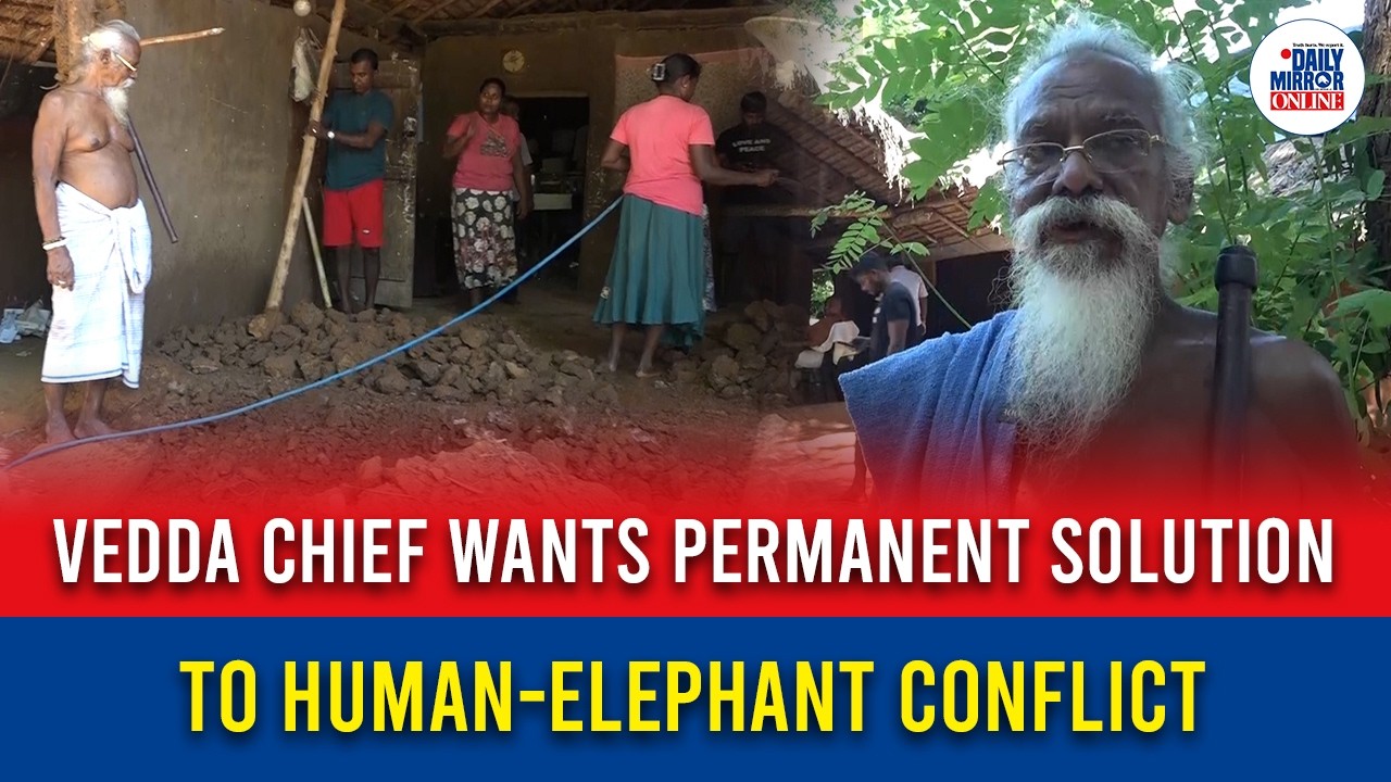 Vedda Chief wants permanent solution to human-elephant conflict