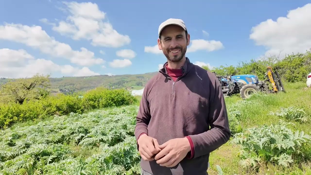 Dérèglement climatique : Le défi du maraîchage rhodanien
