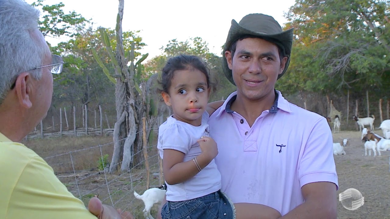 Confira um exemplo bem sucedido de pecuária familiar