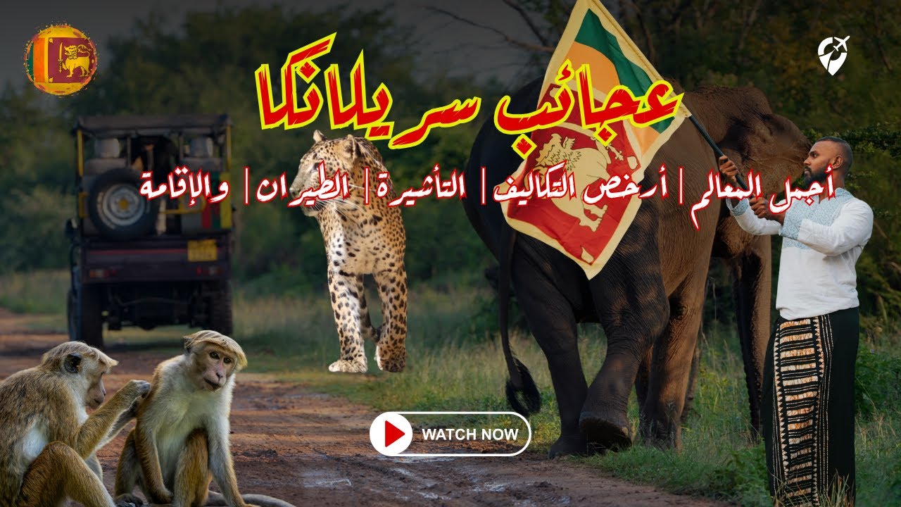 🔴أسرار سريلانكا 2025 .. دليلك الشامل لأجمل المعالم، أرخص التكاليف، التأشيرة، الطيران، والإقامة😲