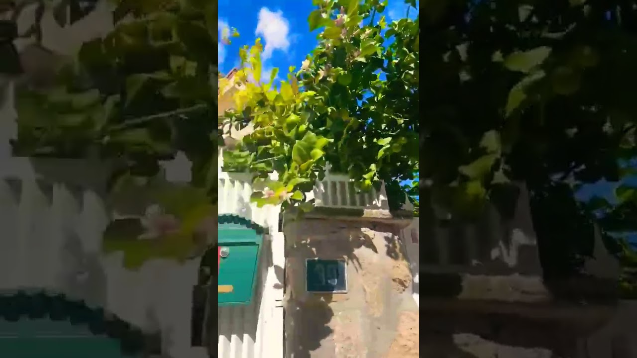 Coslada, Madrid #visitmadrid #coslada #adventure #adventuretravel #adayinmylife #viralvideo #lemon