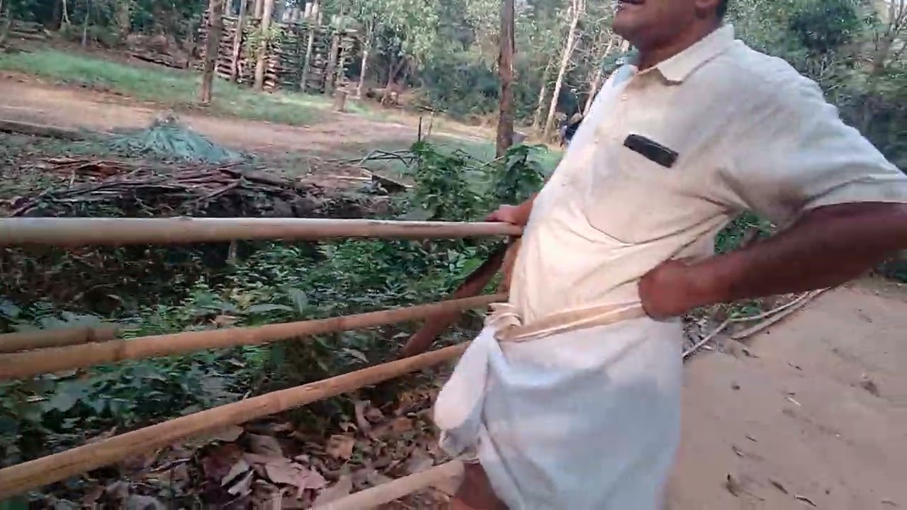 #പീലാണ്ടി ചന്ദ്രു 49 വയസ്#മനുഷ്യരെ പേടിപിച്ച ആന#