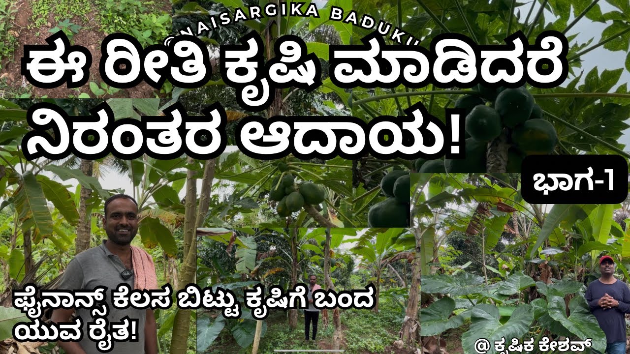ಈ ರೀತಿ ಕೃಷಿ ಮಾಡಿದರೆ ನಿರಂತರ ಆದಾಯ | Multi Layer FARMING for Anytime Yields? |🇮🇳💛❤️