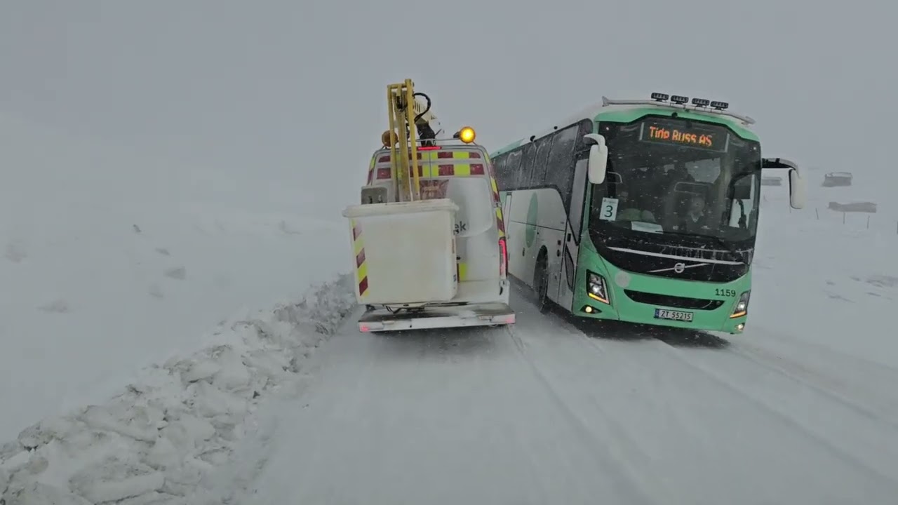10. März 2025