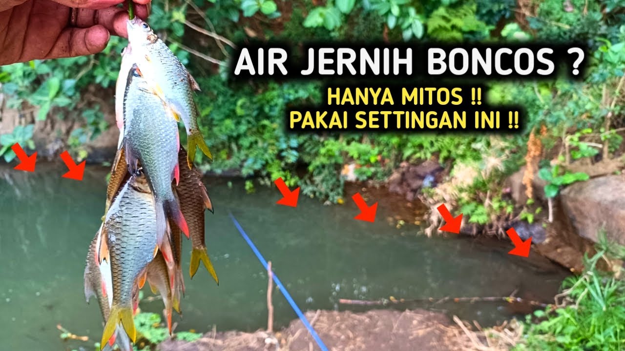 AIR JERNIH BONCOS HANYA MITOS KALAU PAKAI SETTINGAN INI‼️mancing keprek dan baderbang