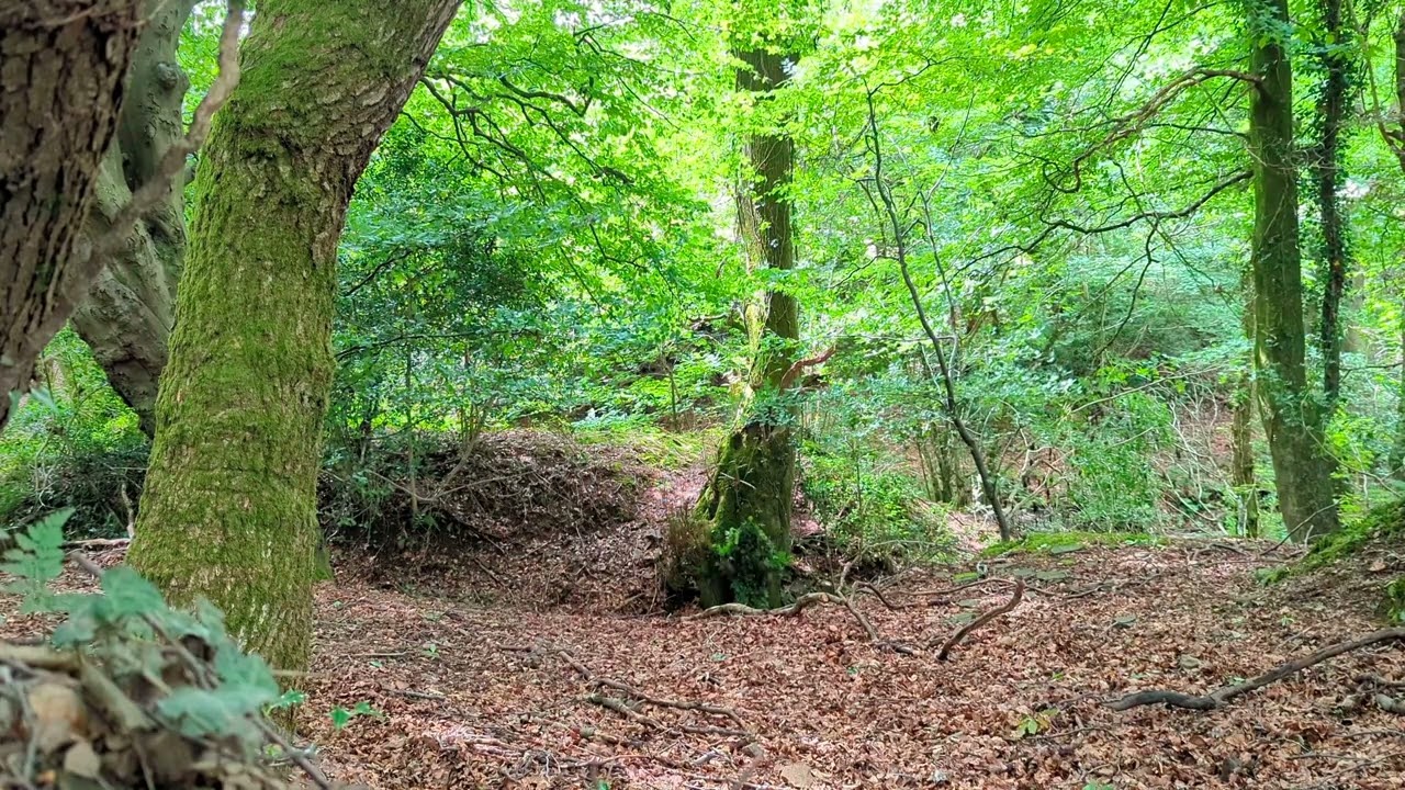 Novritsch Ghillie Suit Testing (Everglade Summer crafted)