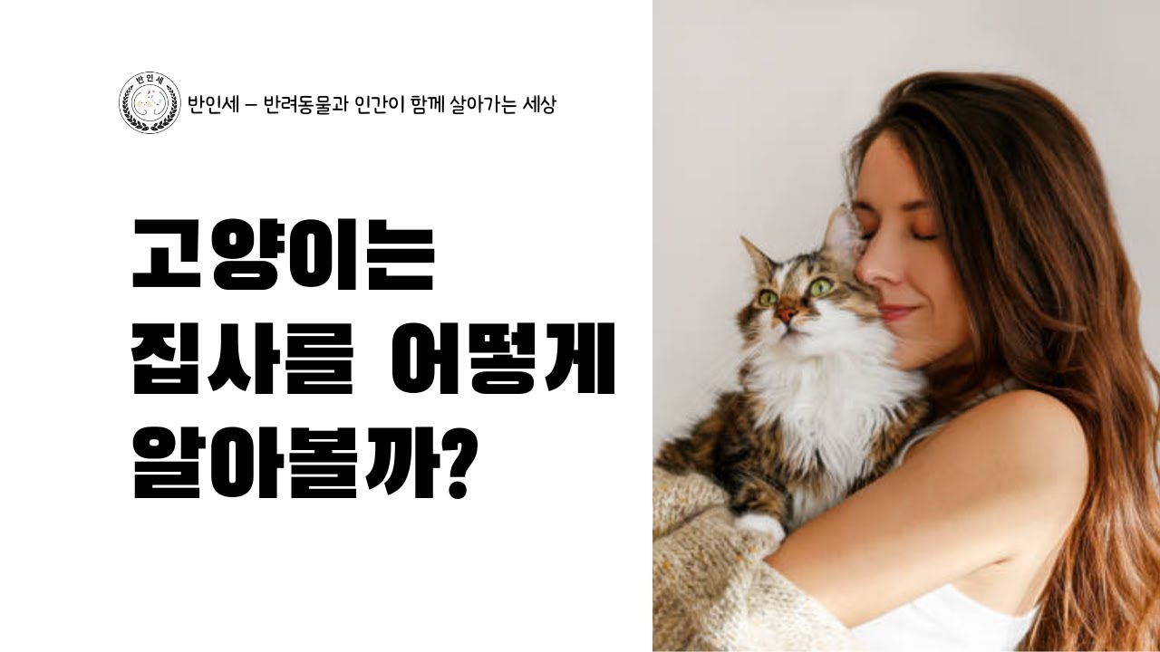 고양이는 집사를 어떻게 알아볼까? - 롱폼