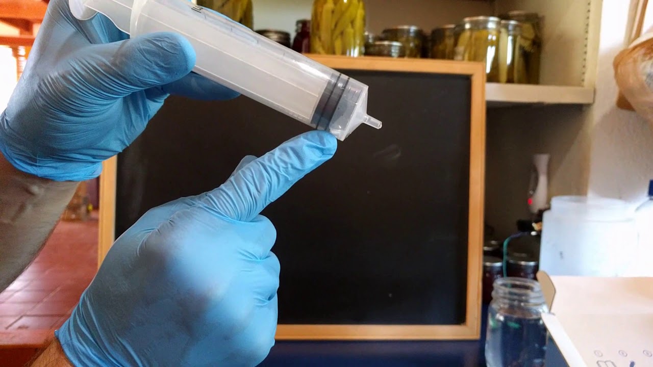 How to sample the microbiome of your aquarium