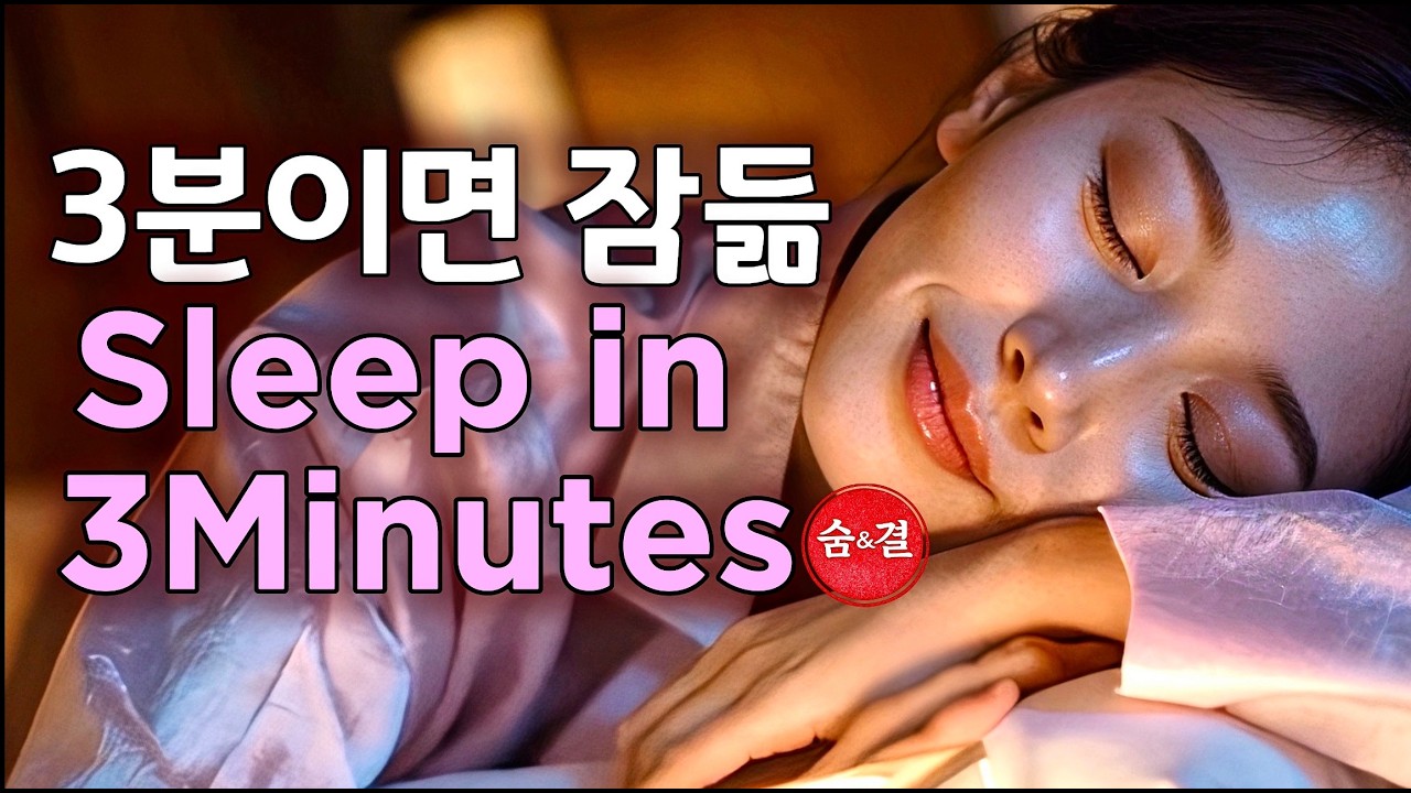 아이돌의 비밀 휴식 🌙 3분 안에 잠드는 오르골 소리