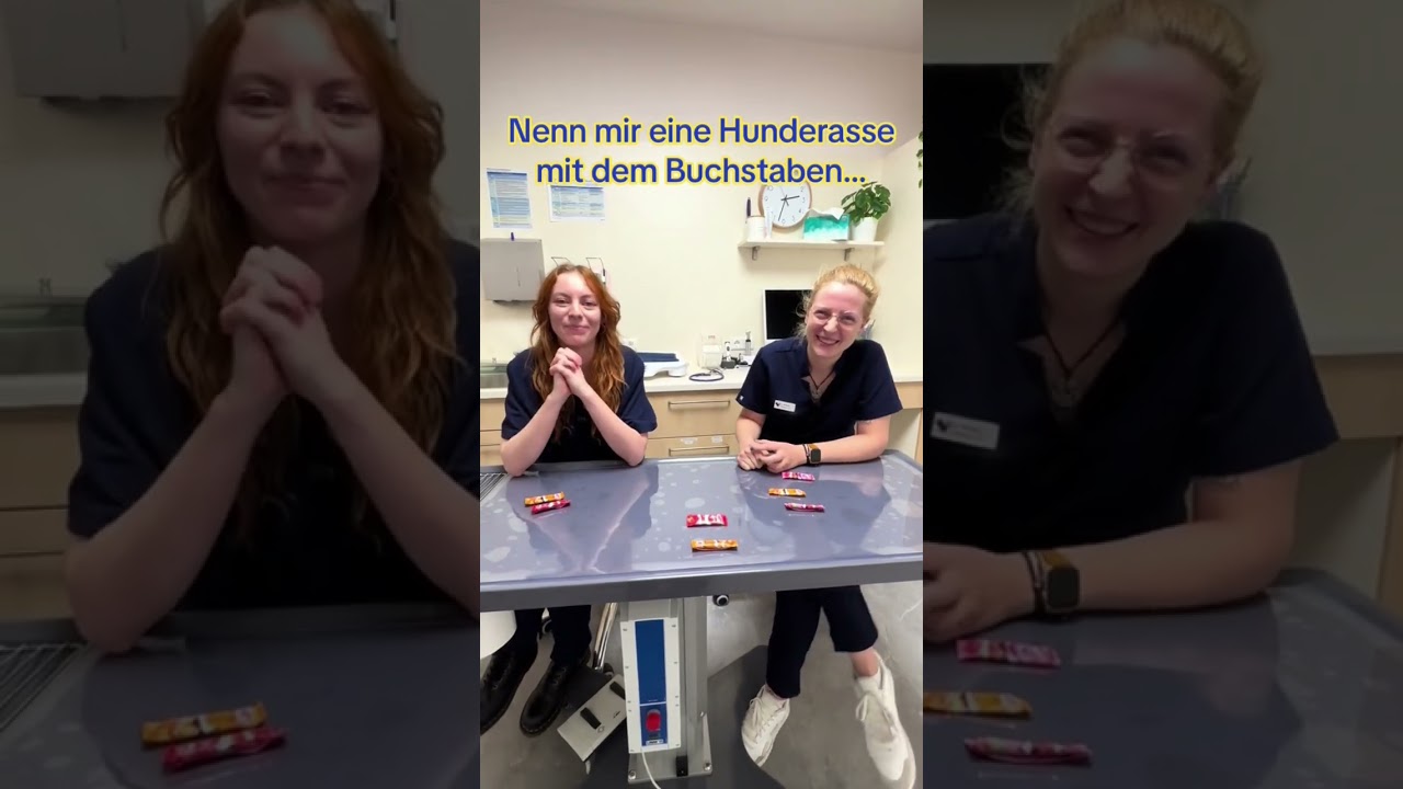 Rate mit‼️ Welche Hunderasse f&auml;ngt mit welchem Buchstaben an ❓❓ #challegne #hunderassenim&uuml;berblick #