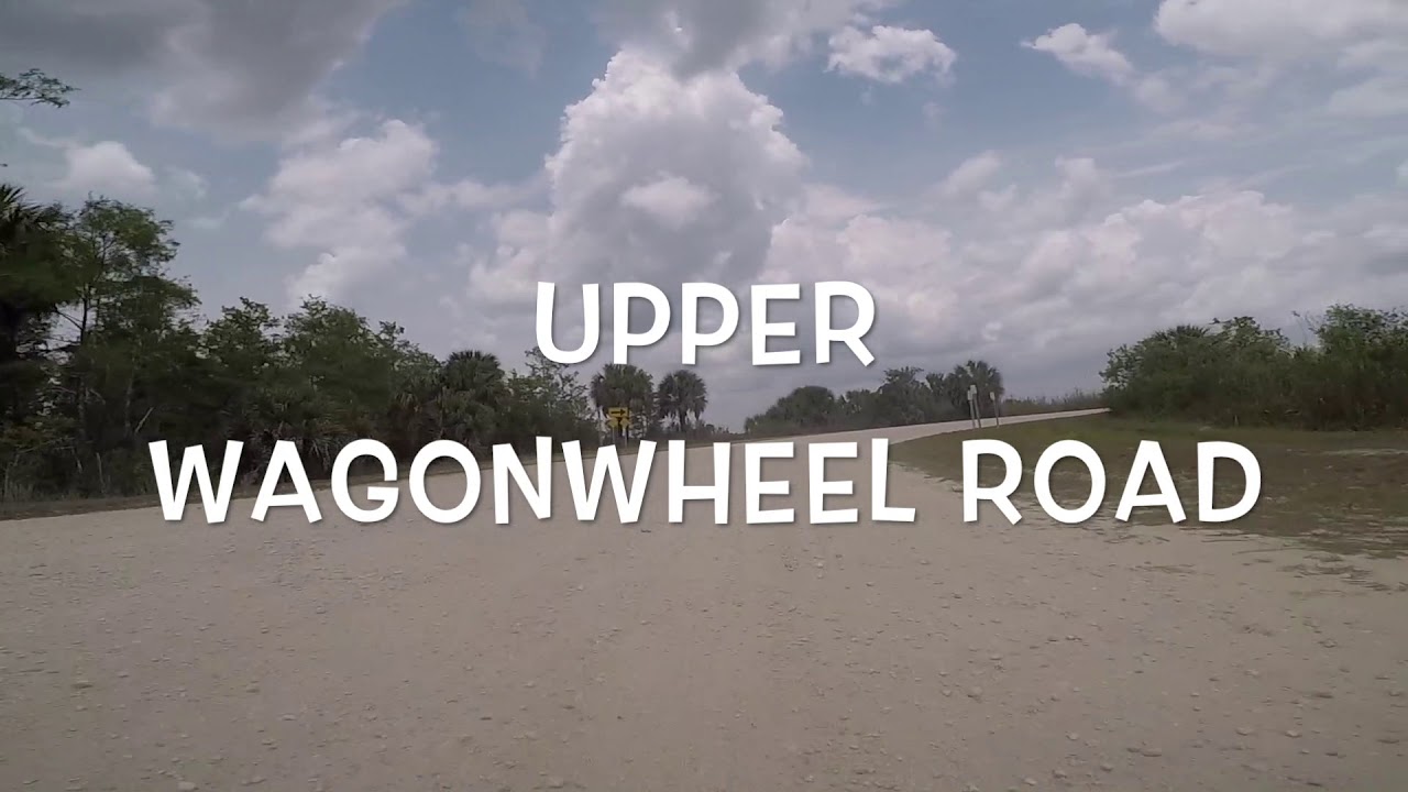 A Drive along the Northern Loop in the Big Cypress Swamp National Park South Florida