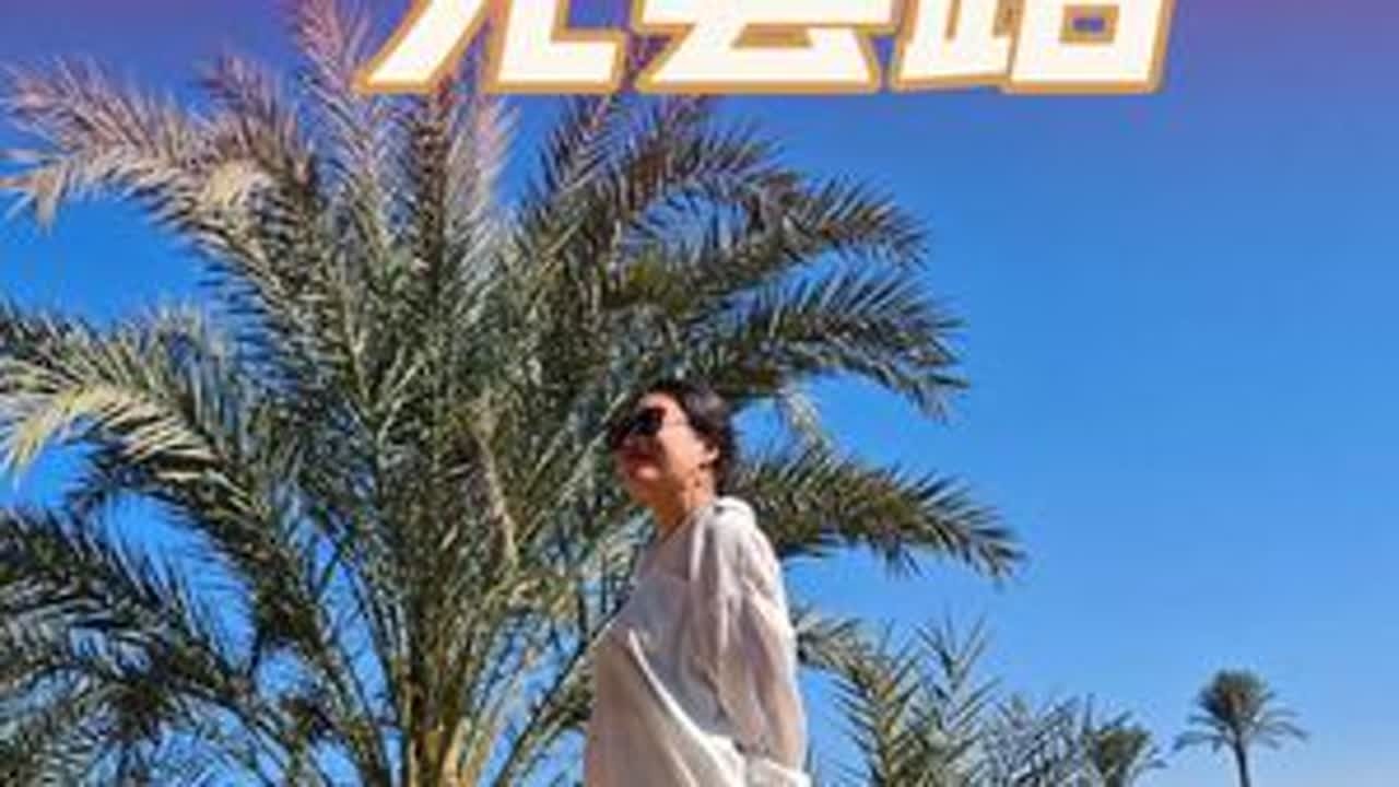 沉浸式逛埃及菜市场的一天，来埃及一直都是高戒备状态，不知道哪里就有套路在等你。终于来到了一个完全放松明码标价的本地市场，跟老妈打打视频聊聊天，真不错#真实生活分享计划 #volg日常 #volg...