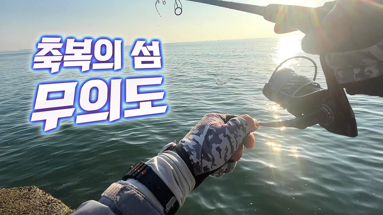 무의도 삼치, 바닥고기 루어낚시 (6월 초)
