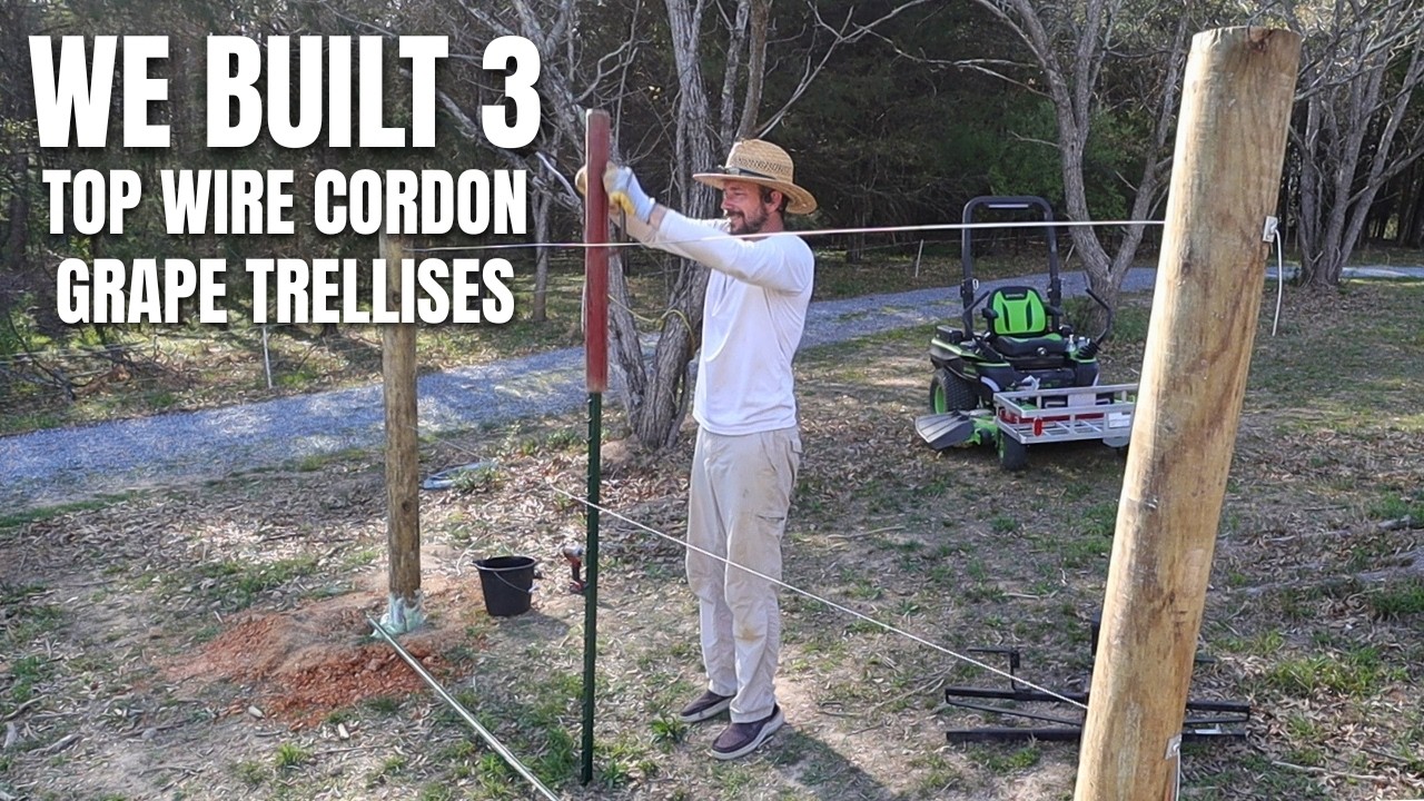 Our Orchard Is Becoming A Food Forest One Step At A Time - Part 1 of 2