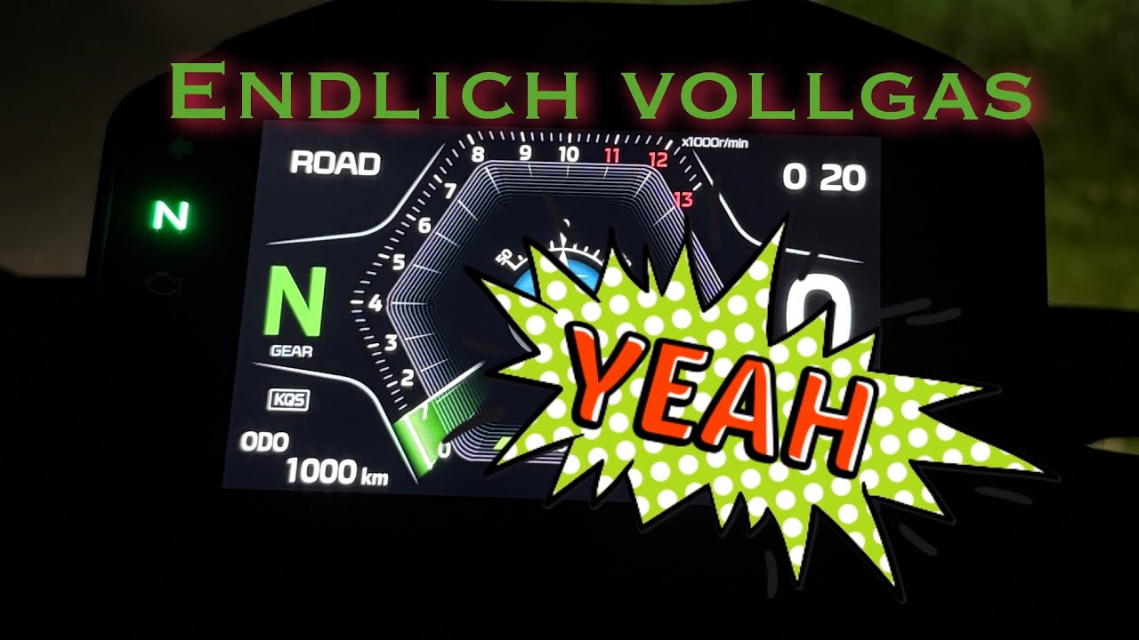 Endlich offen fahren - volle Power  - 1000km Inspektion | Kawasaki Z900 2025
