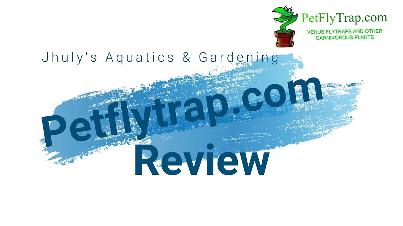 PETFLYTRAP.COM Review & Plant Unboxing!\\Jhuly's Aquatics & Gardening