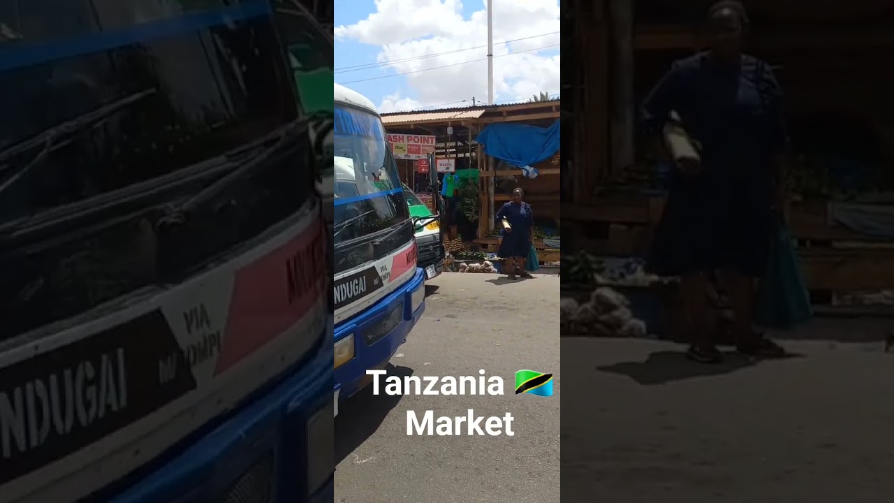 #tanzaniavlog #africavlog #expatlife #movingtoafrica #africalife 🌍