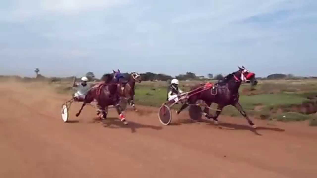 1. santino tp 1.59.65. 2.empuje. 3.percal. 4.alero.