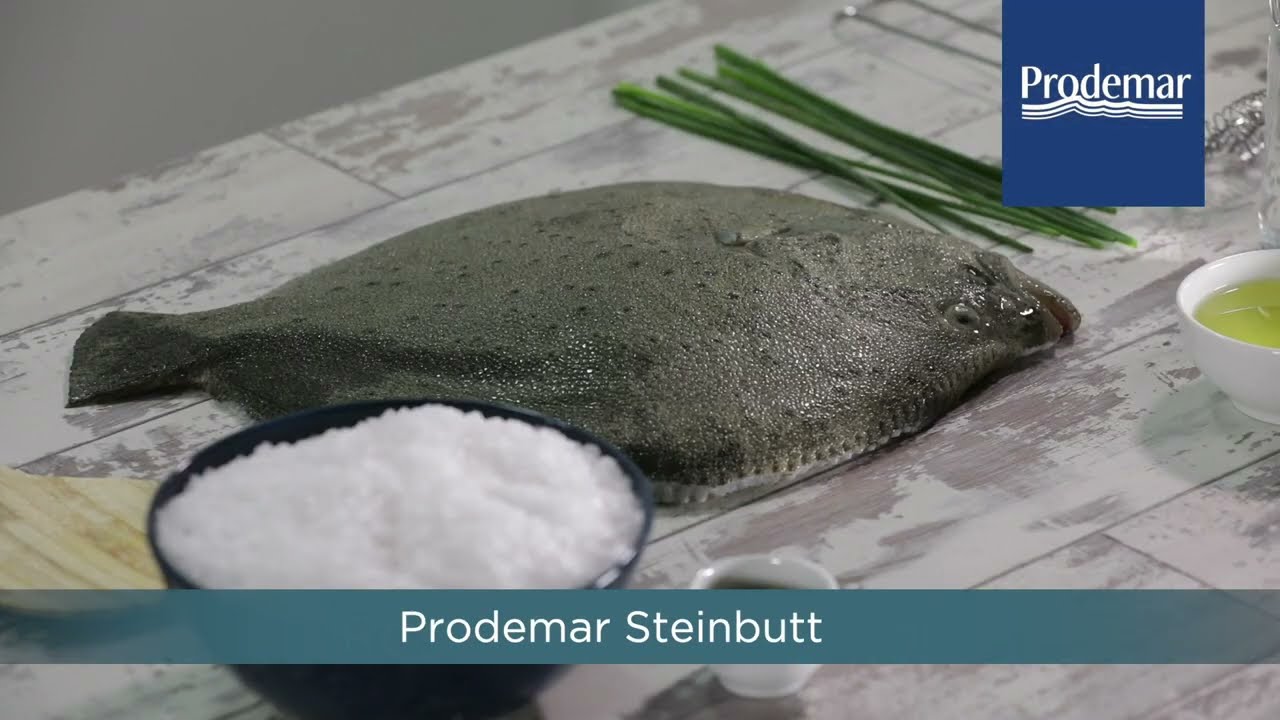 SALZ STEINBUTT | Prodemar