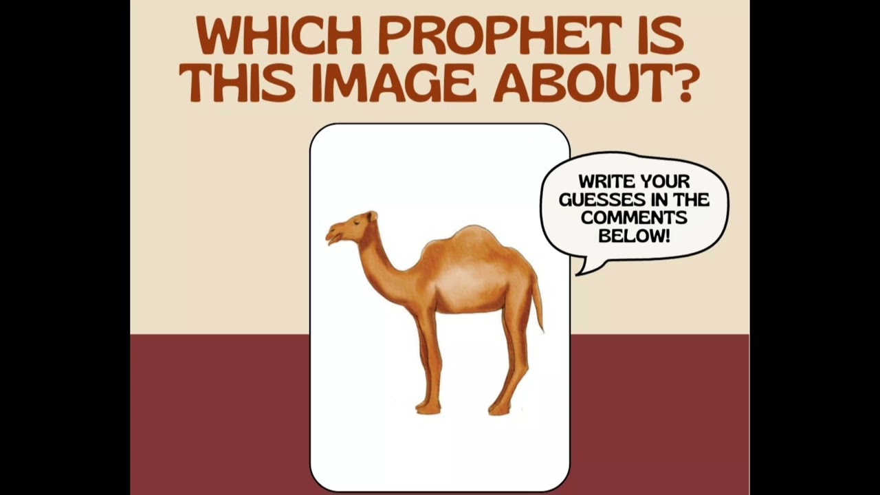 📚 Guess the Prophet! 🤔🐫