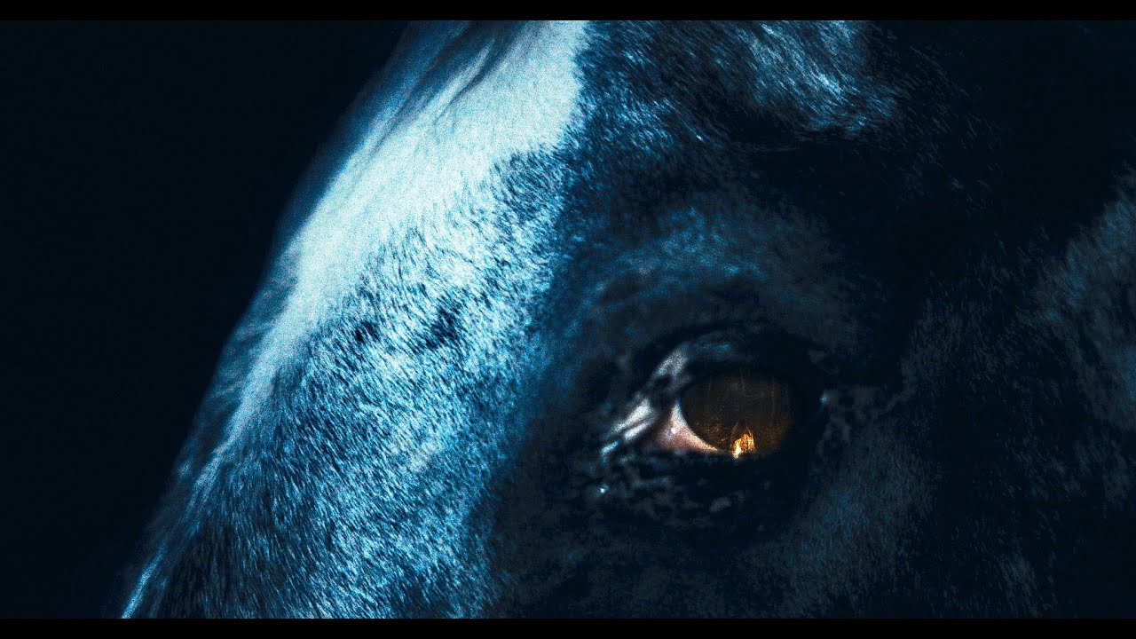 Nascaa - Lost In The Waves (Official Video)