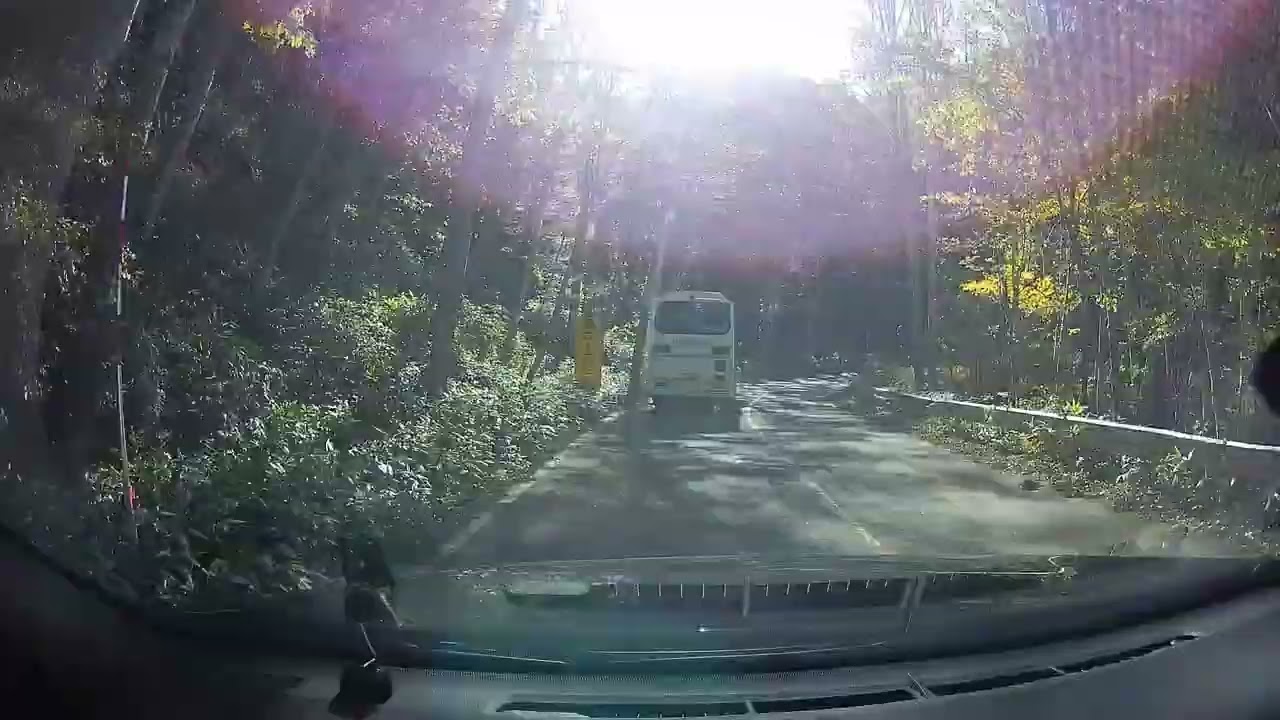 2023 10 18 金精道路～奥日光
