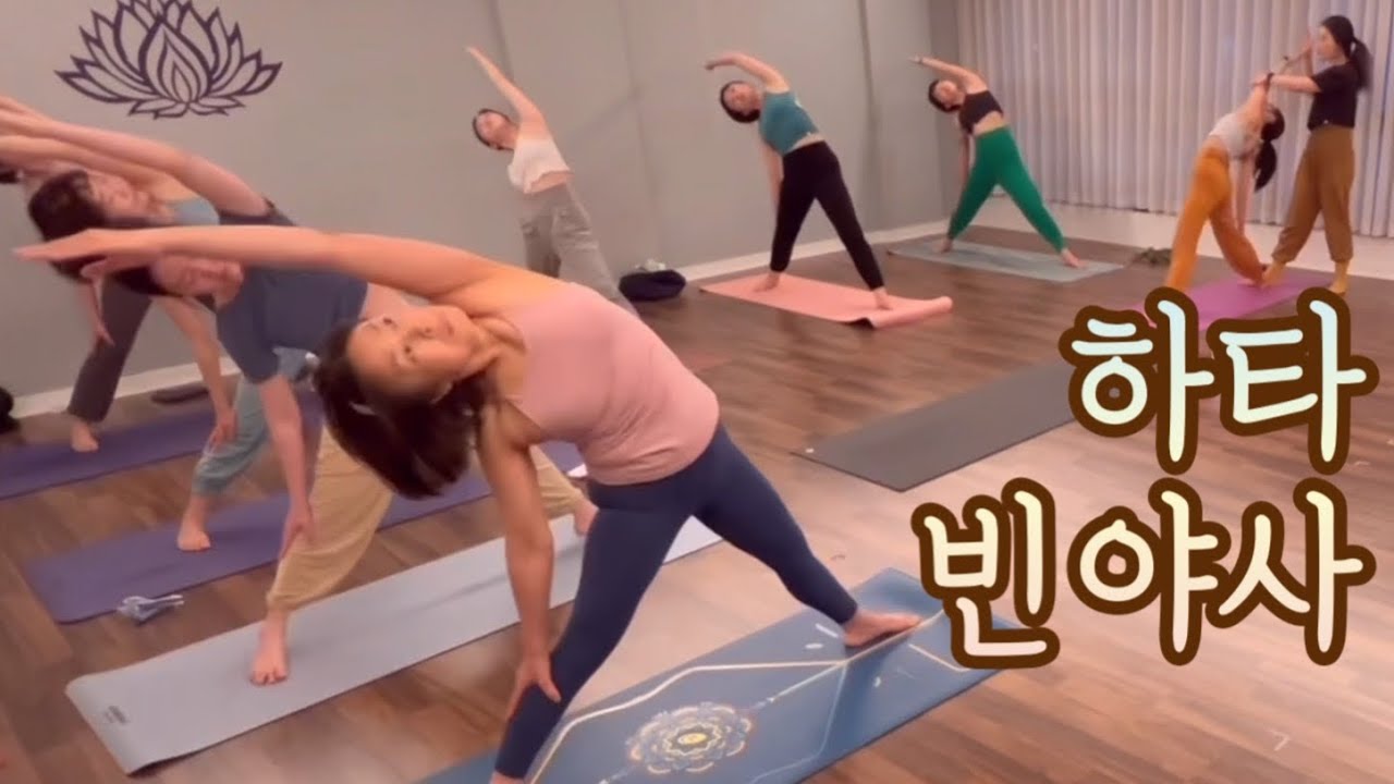 [엔젤요가] 히타빈야사 수업영상