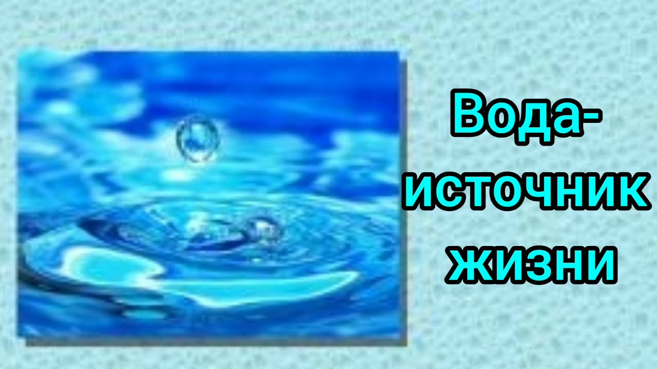 Детский учебный канал 
