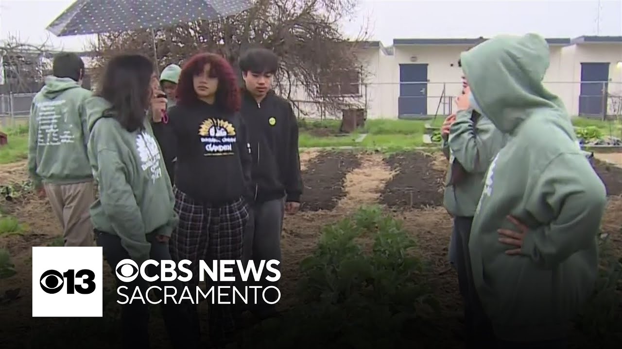 Why Sacramento school named after famed botanist is shutting down its urban agriculture academy