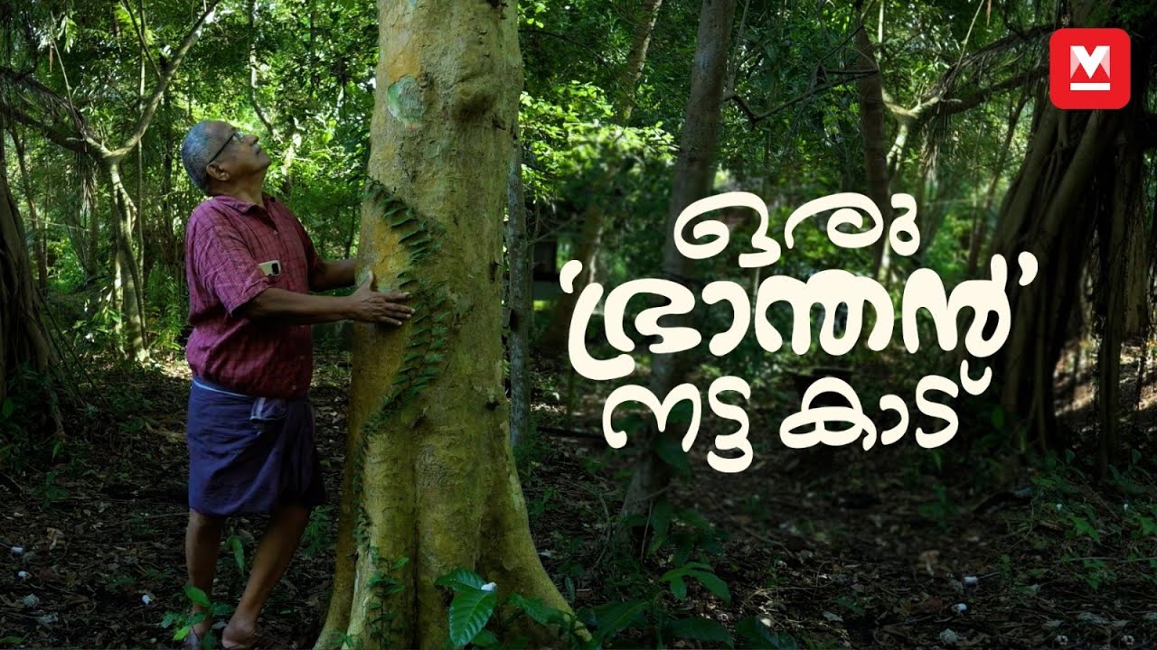 കൊച്ചിക്കു നടുവിൽ കാടുണ്ടാക്കിയ കഥ | Man-made Forest in the Heart of Kochi