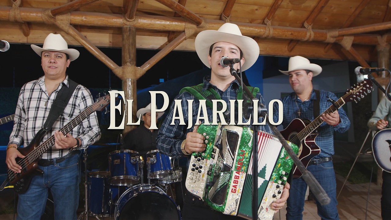 El Piloto y Su Estilo x La Bertiniza De Culiacan - El Pajarillo (En Vivo)