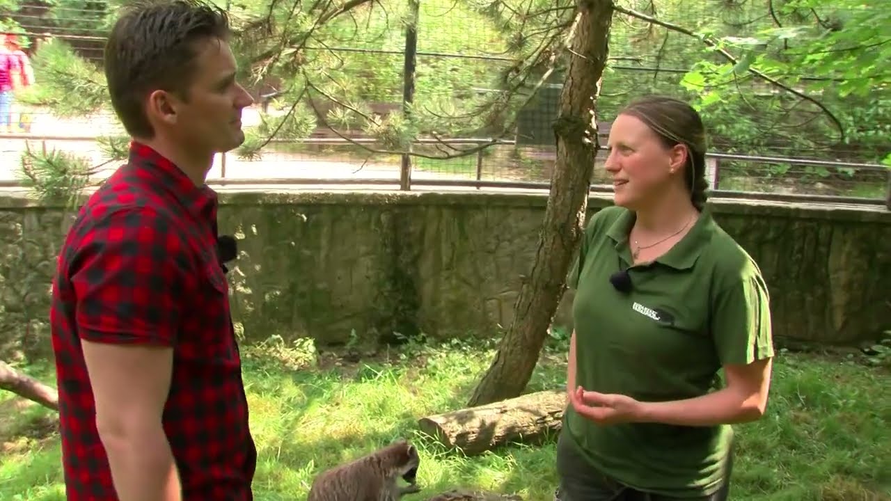 Élmények a Budakeszi Vadasparkban