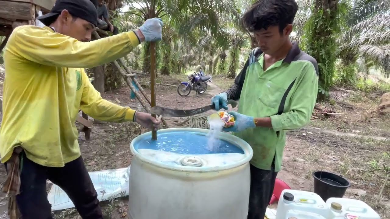 🔻CARA MUDAH MERACIK PUPUK KOCOR NPK MUTIARA MIX ANEKA PUPUK MIKRO-ENCIK JUNIANTO CHANNEL