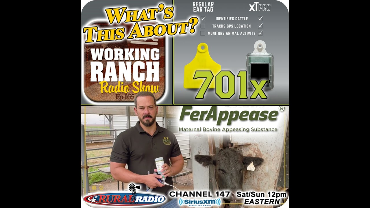 Ep 165: Hey! What&rsquo;s This About?  GPS Tags (701X) & FerAppease